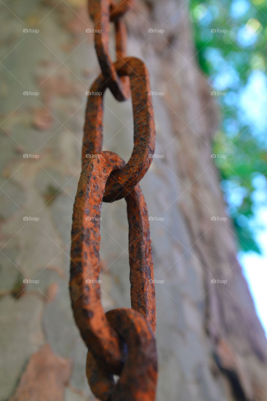 Chain link. week-end at the cottage