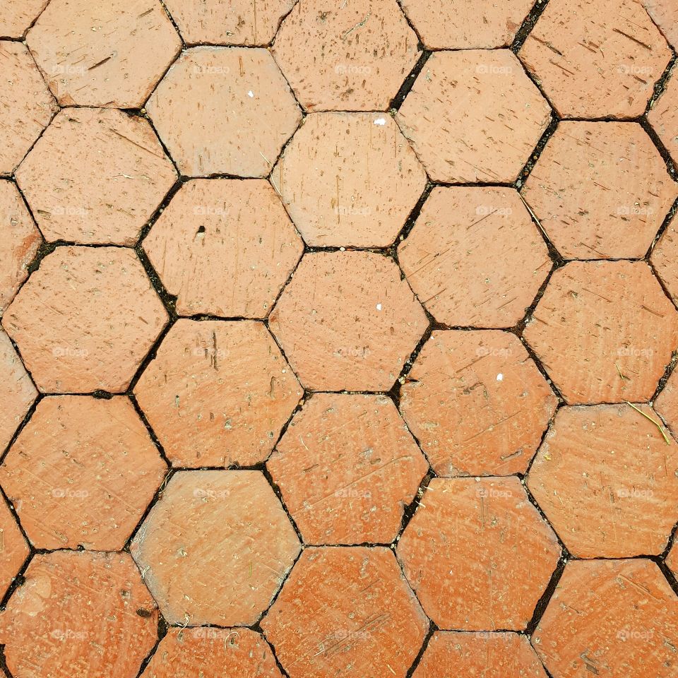 Brown hexagon walkway