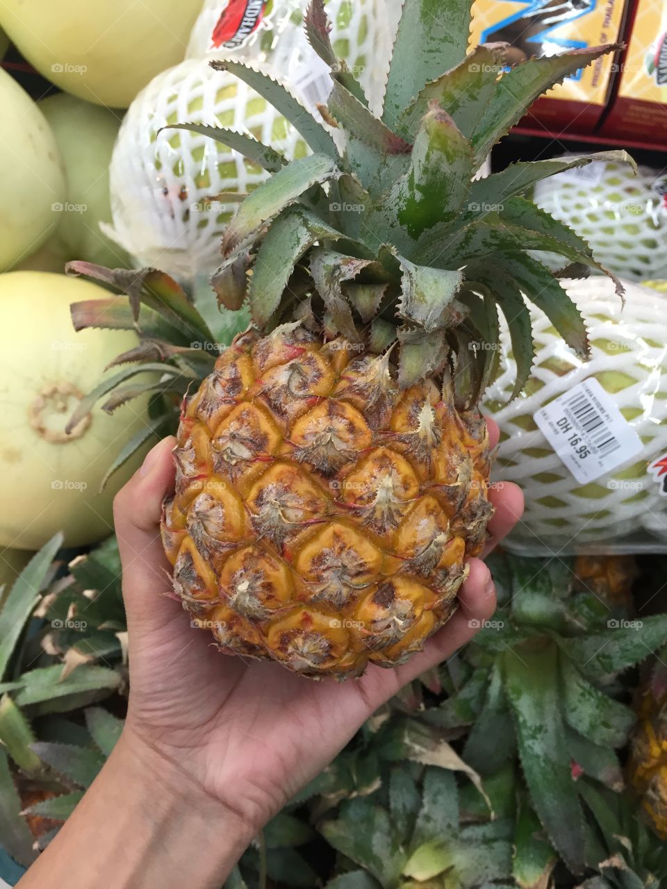 Pineapple