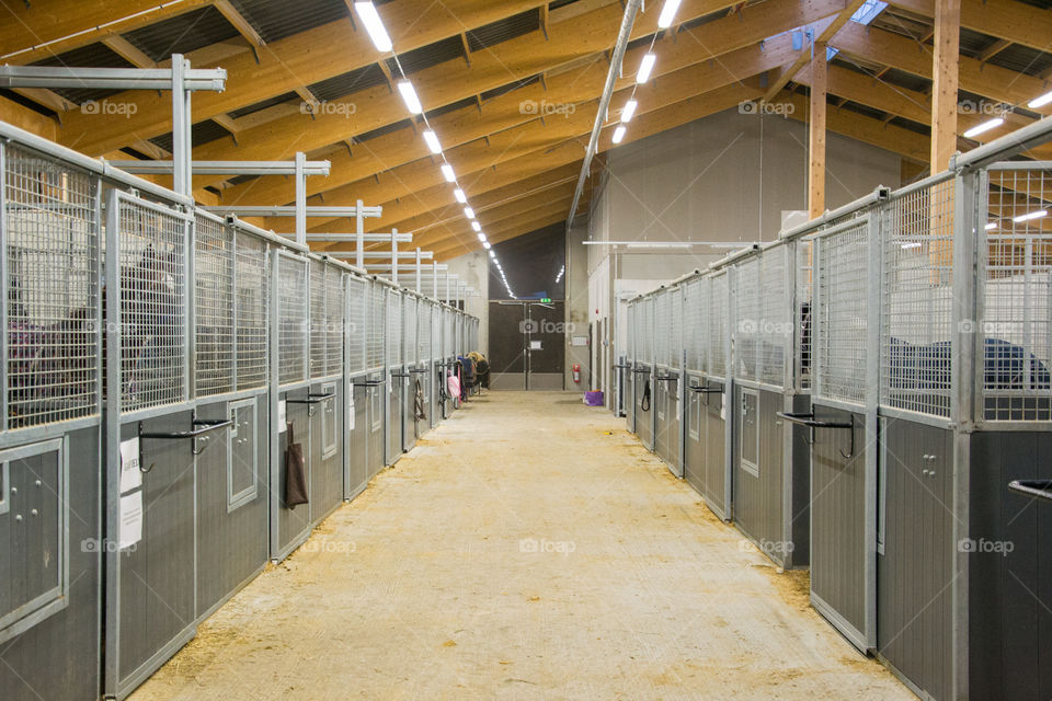 Horse stable 