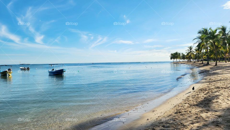 beautiful summer beach