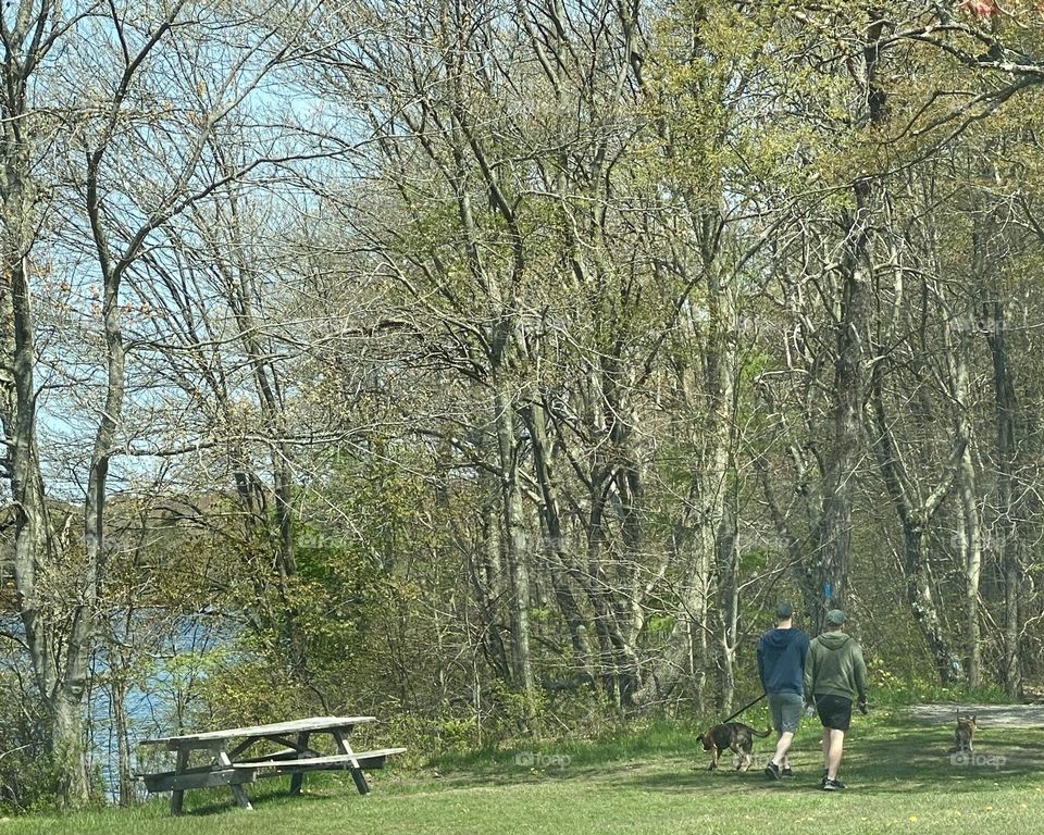 Couple taking their two dogs on a nature trail alongside a lake