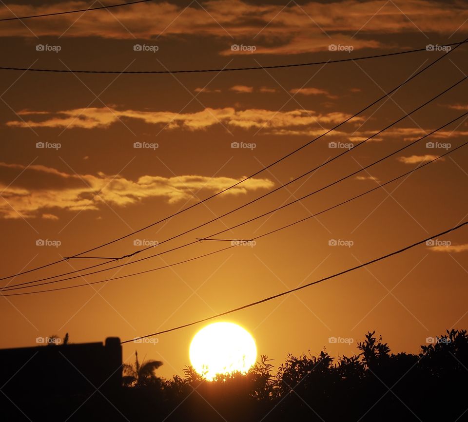 Electric sunset