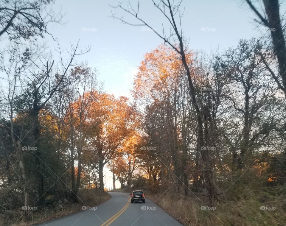 morning drive