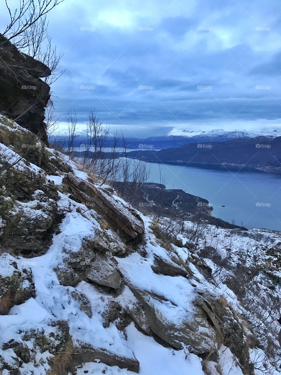 Reinveivannet - Narvik