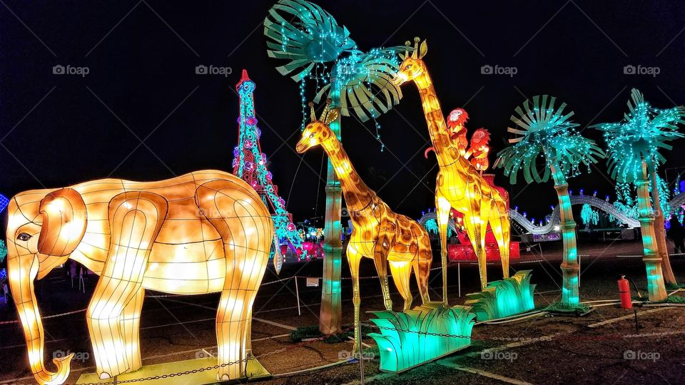 ILLUMINATION of Lights