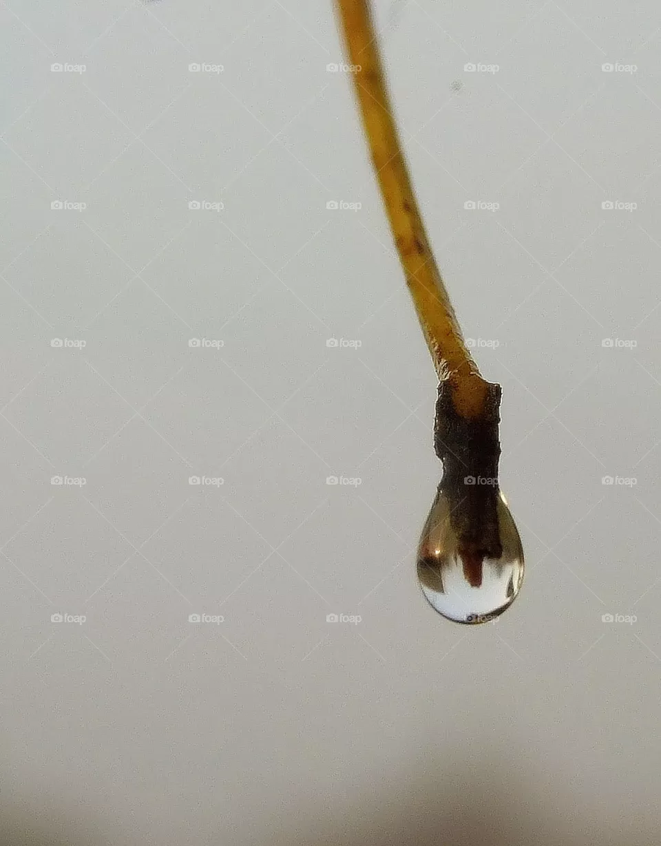 water drop