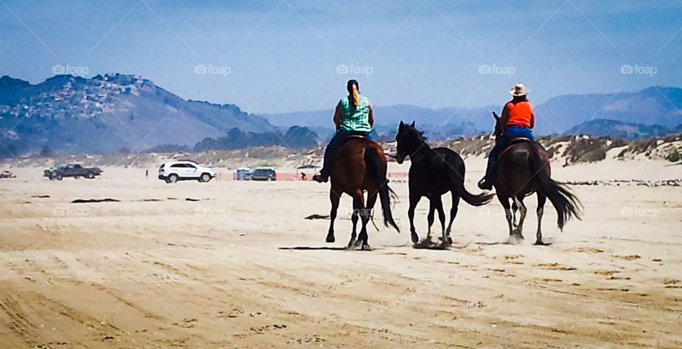 Horses on the beach at Pismo Beach California