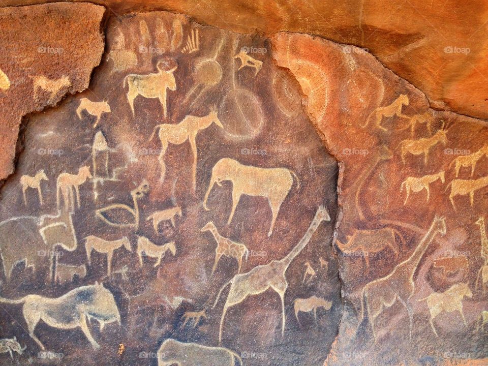 Cave Pantings. Omaha Zoo