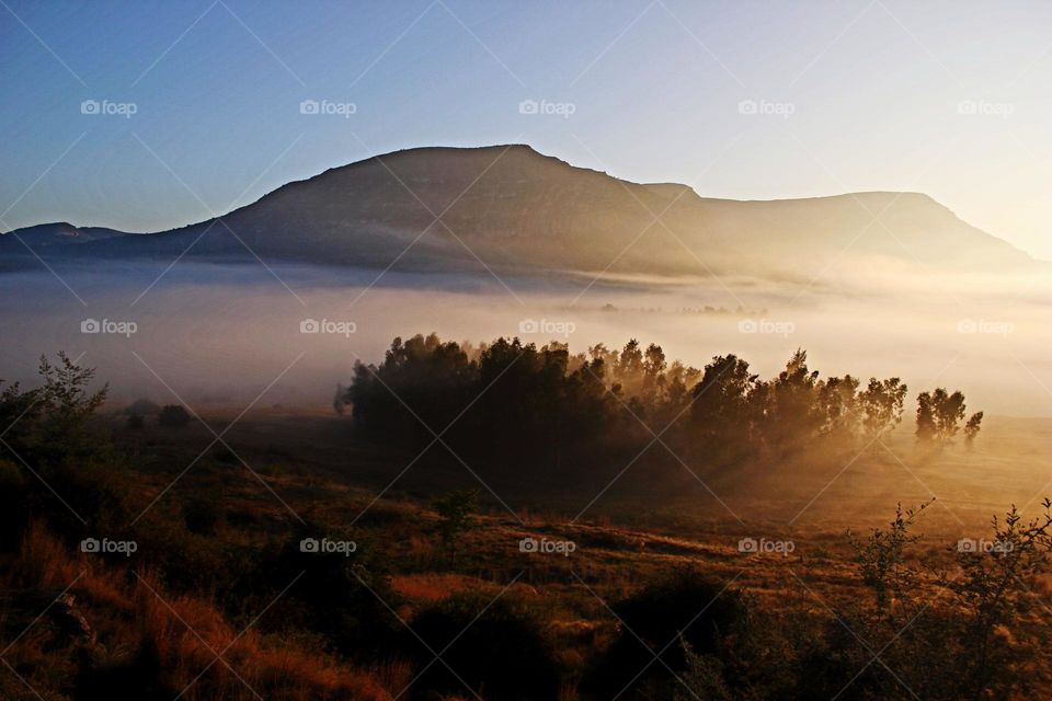 misty autumn morning