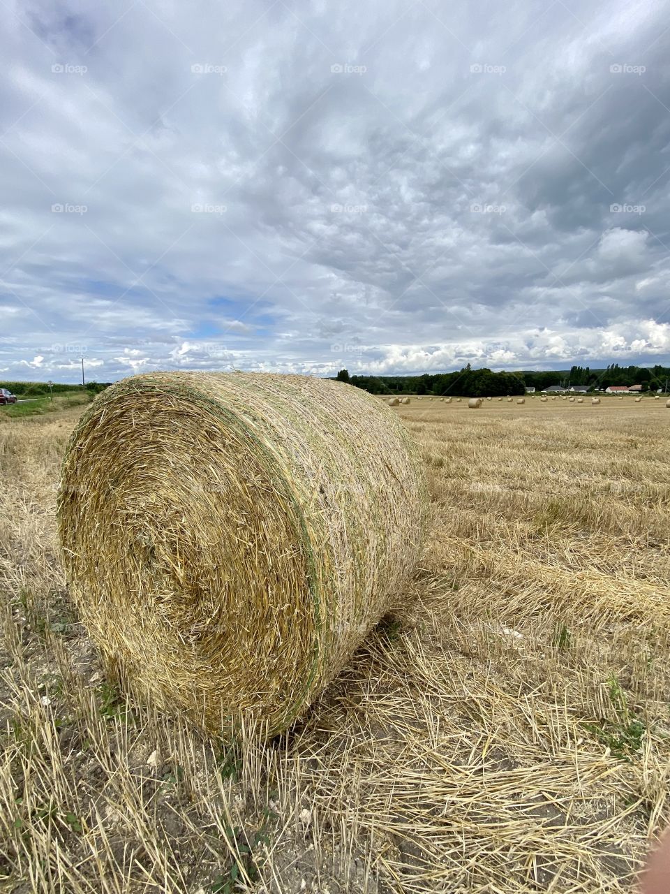 Landscape of hay bales in the French countryside