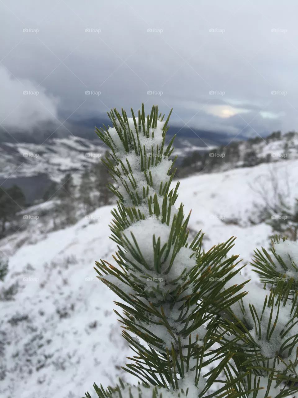 Snow