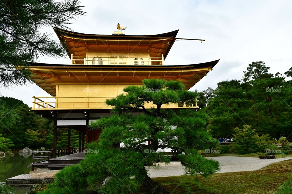 Golden pagoda,  Kyoto