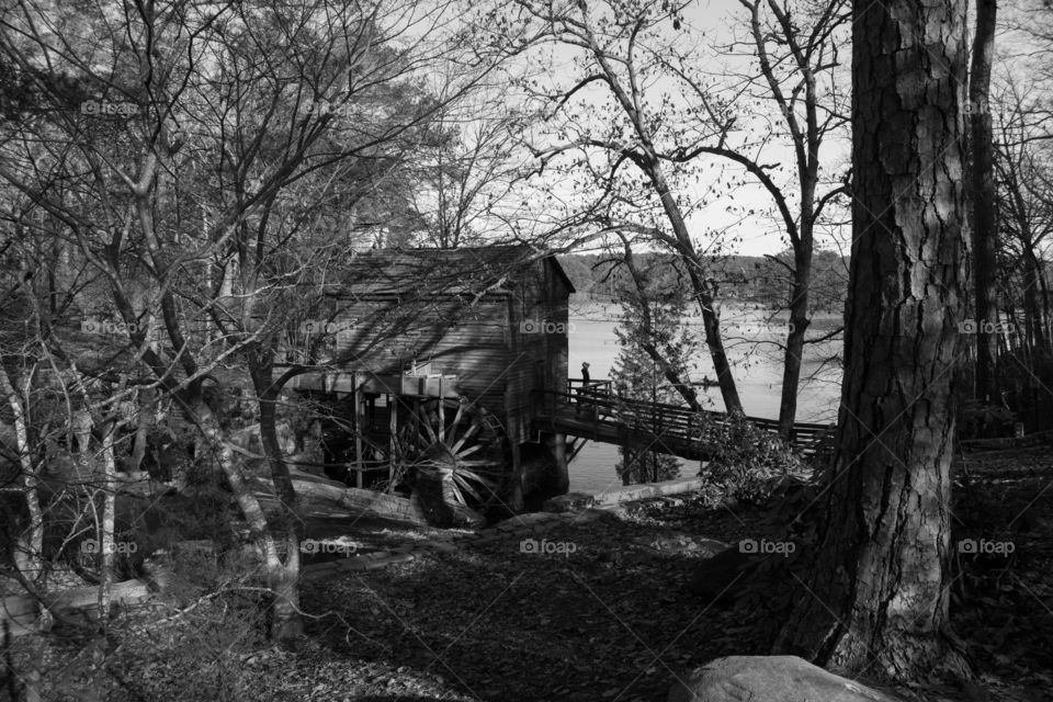 House with a waterwheel
