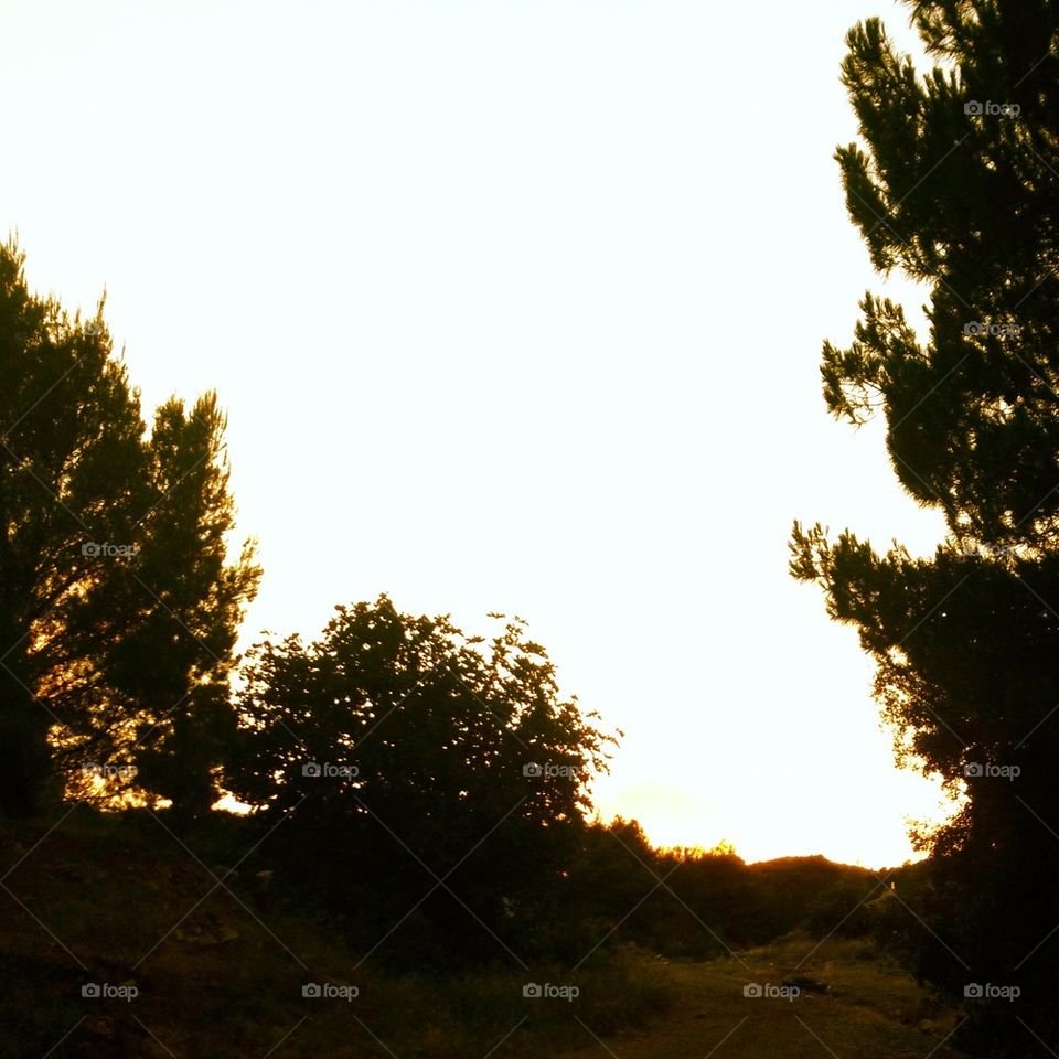 ano liosia eleusina metaleia by vrahidis