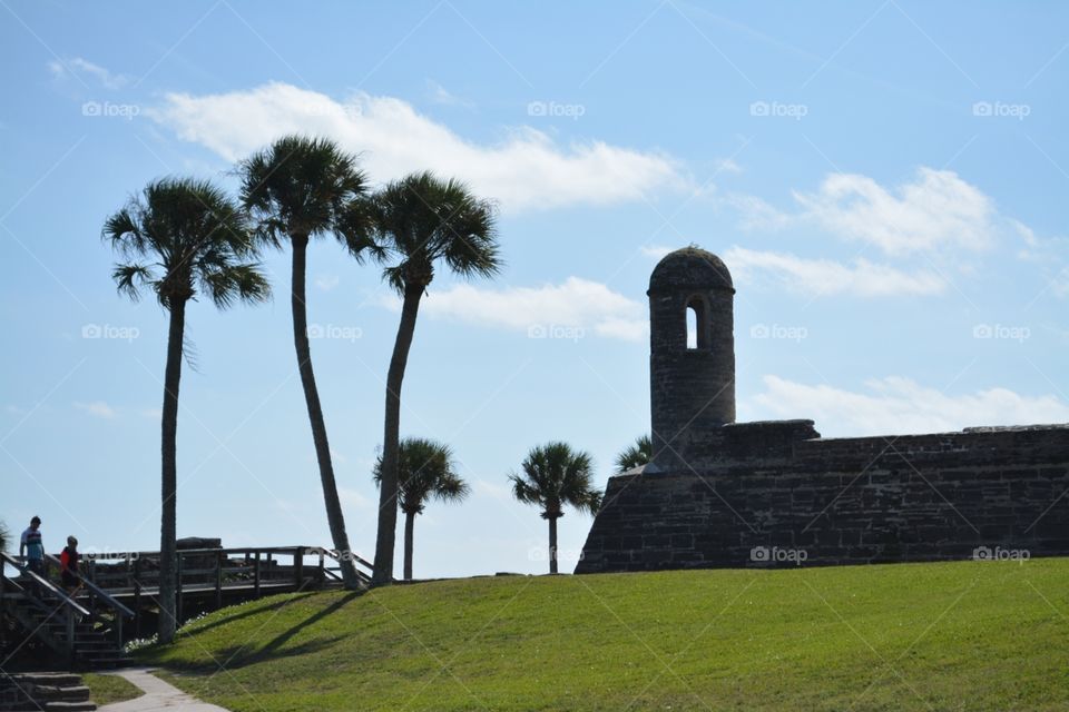 St. Augustine Fort outlined with Palm Tress.