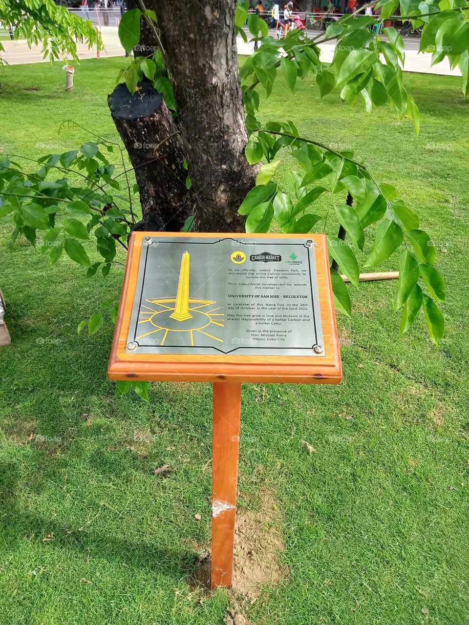 A MARKER FOR UNIV. OF SAN JOSE RECOLETOS UNDERNEATH A NARRA TREE TO TAKE CHARGE OF CARING IT, AS AWARDED BY THE CITY GOVERNMENT, INSIDE THE FREEDOM PARK
