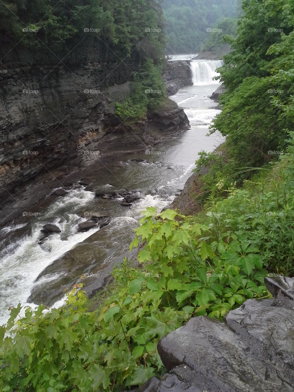 View of the Lower Falls Down River at Letchworth State Park