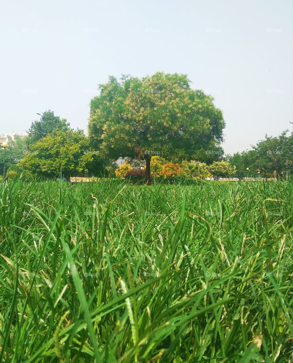 True nature, no filters