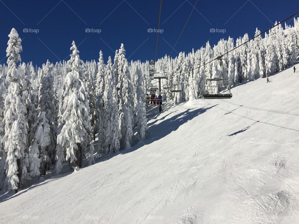 mountain, snow mountain, evergreen trees, snow, snowing. Fog, snowboarding, skiing, sky, 7th heaven , winter, ski resort, frozen, freezing, trees