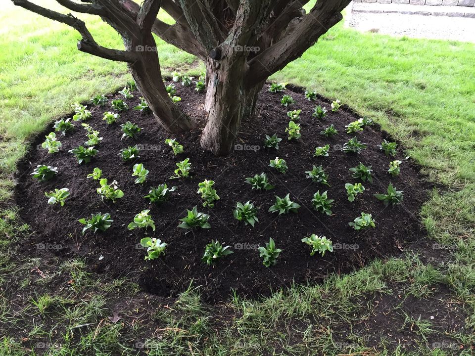 Symmetry everywhere! 