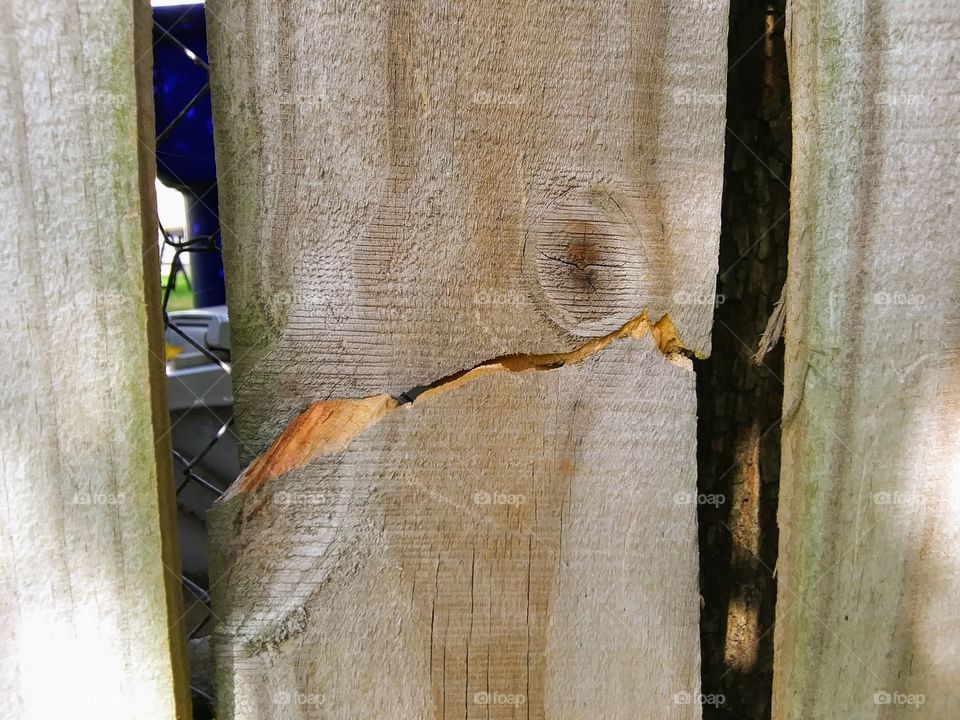 crack in the fence