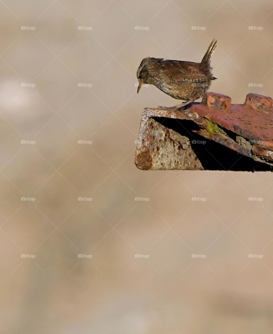 I don't know why I'm depressed