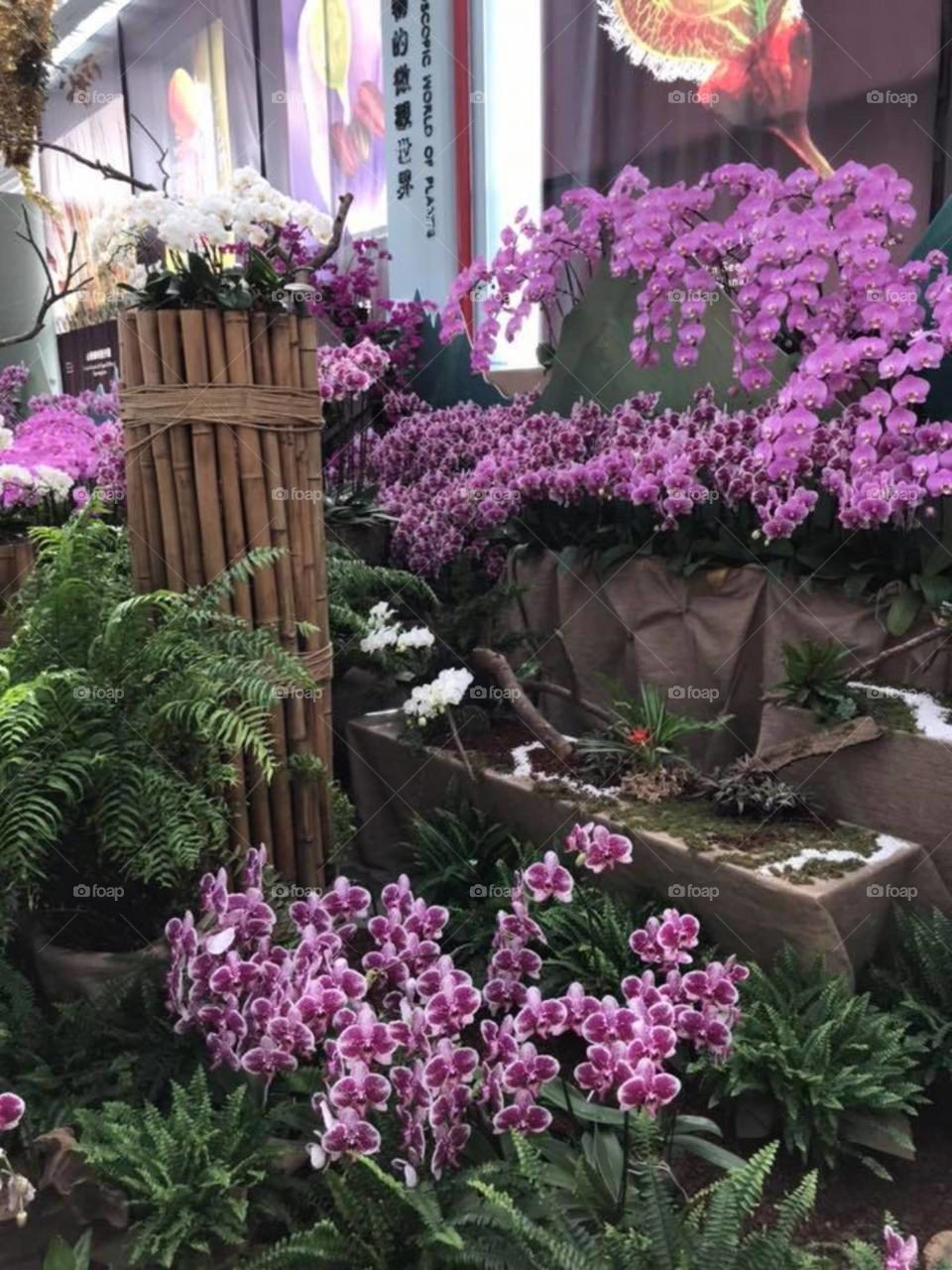 Flowers Expo