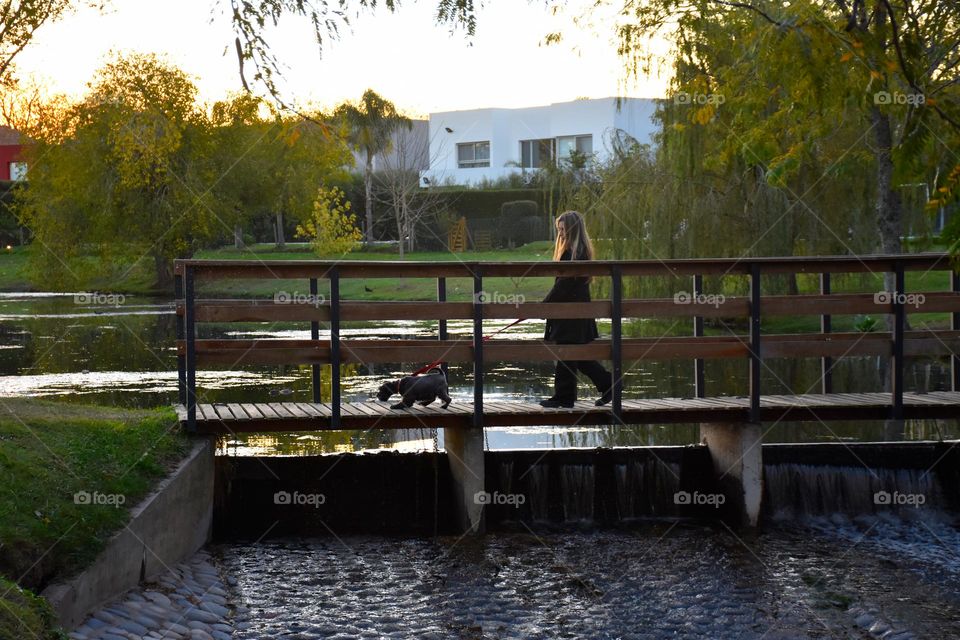 chica paseando al perro en un puente