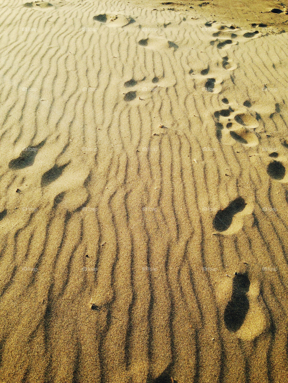 FOOTPRINTS IN SAND