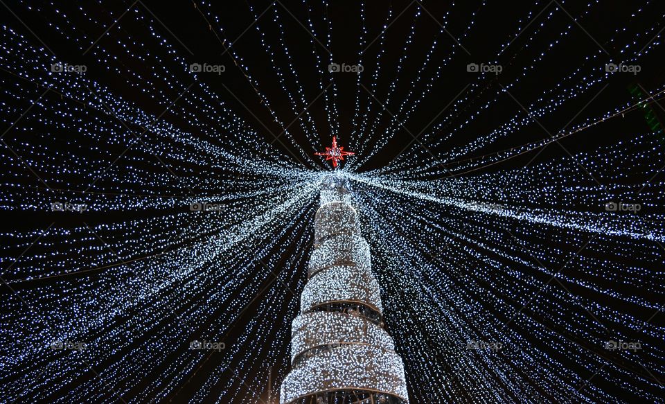 Christmas and New year tree