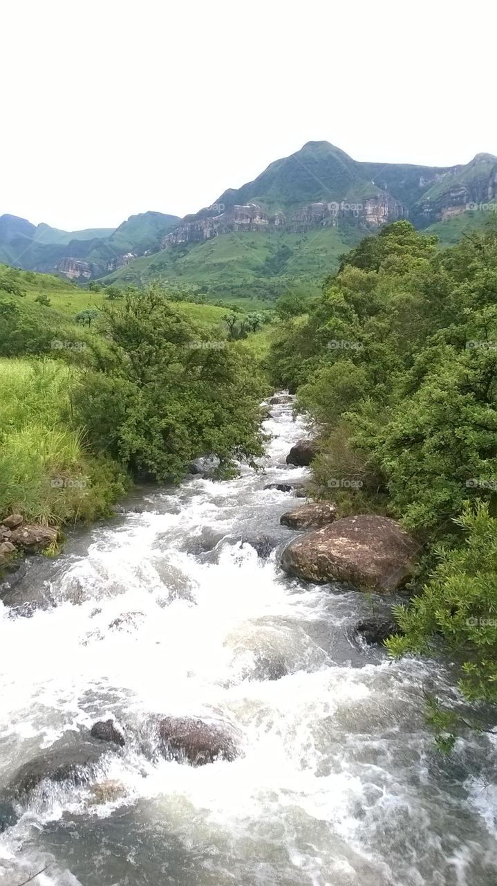 Beautiful mountain stream