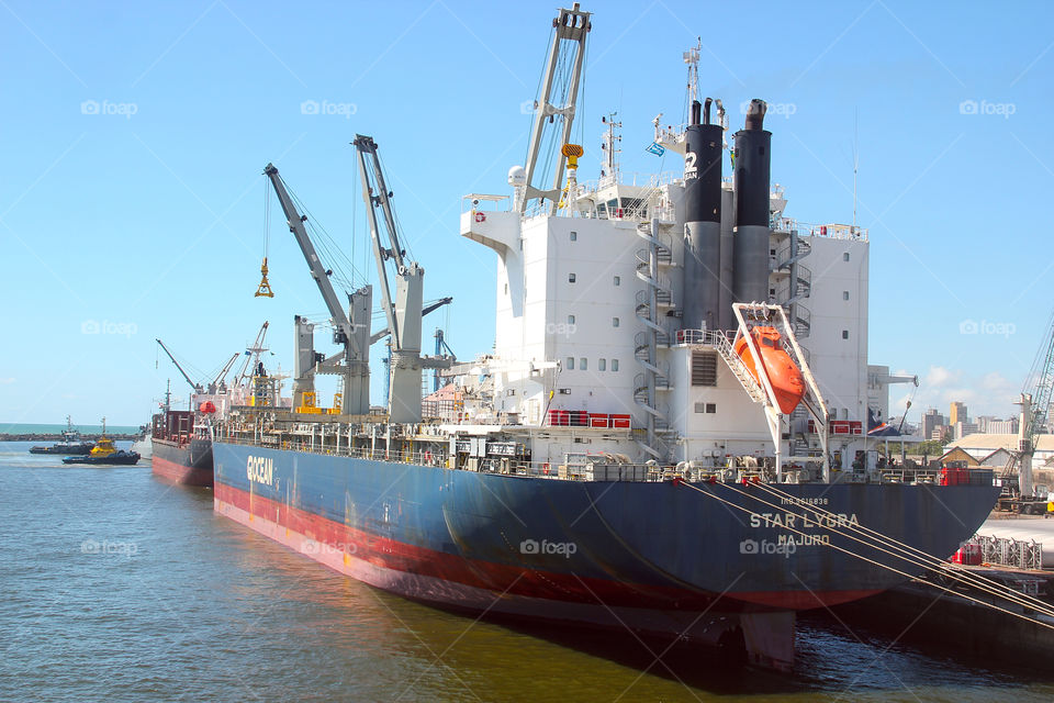 Ship moored in port.