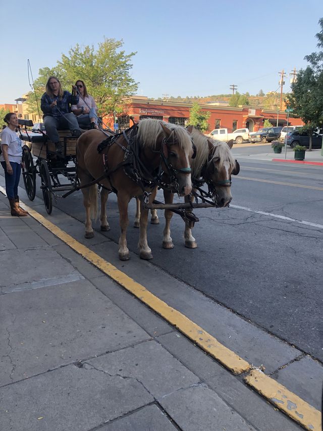 Horses