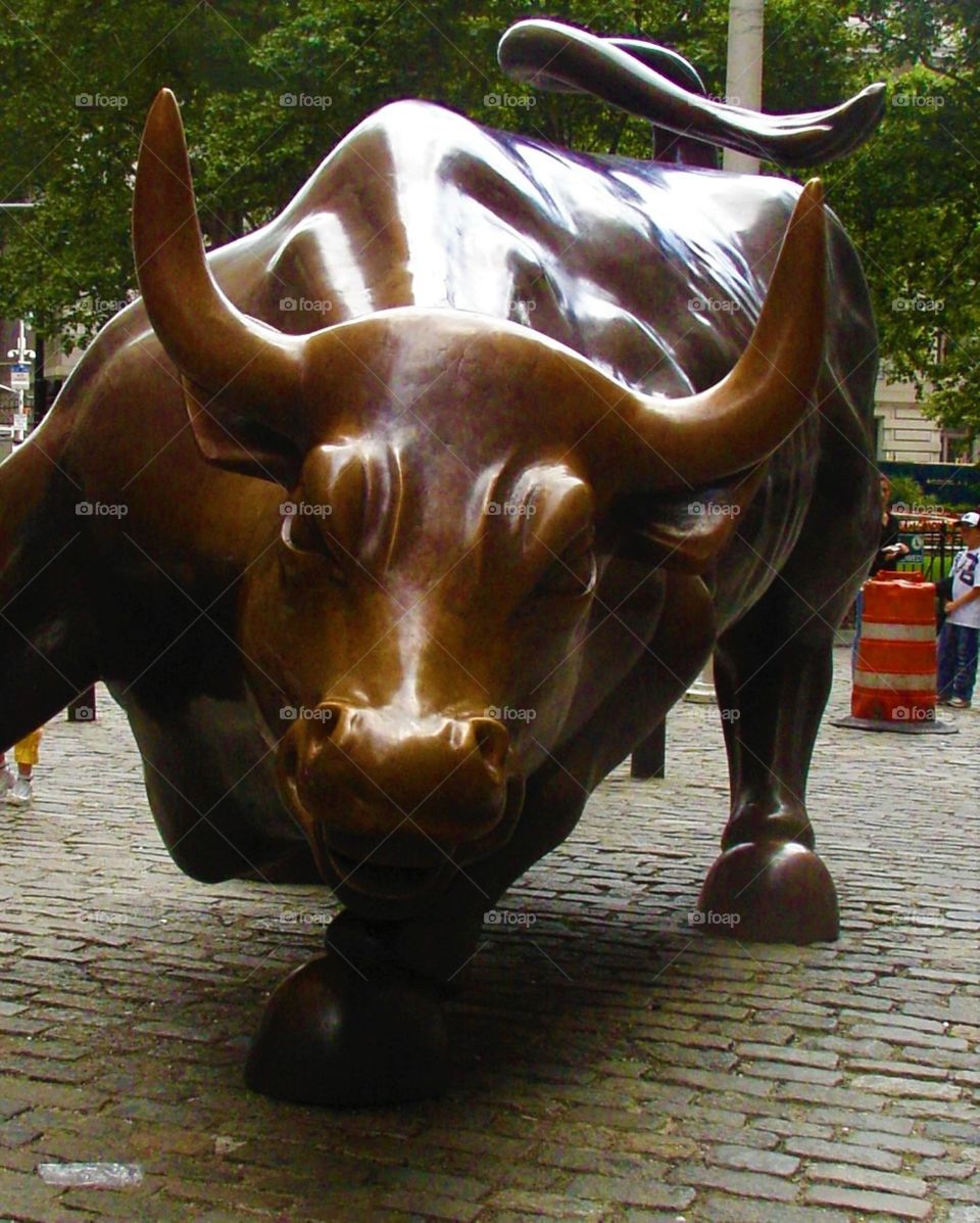 The Wall Street bull, New York