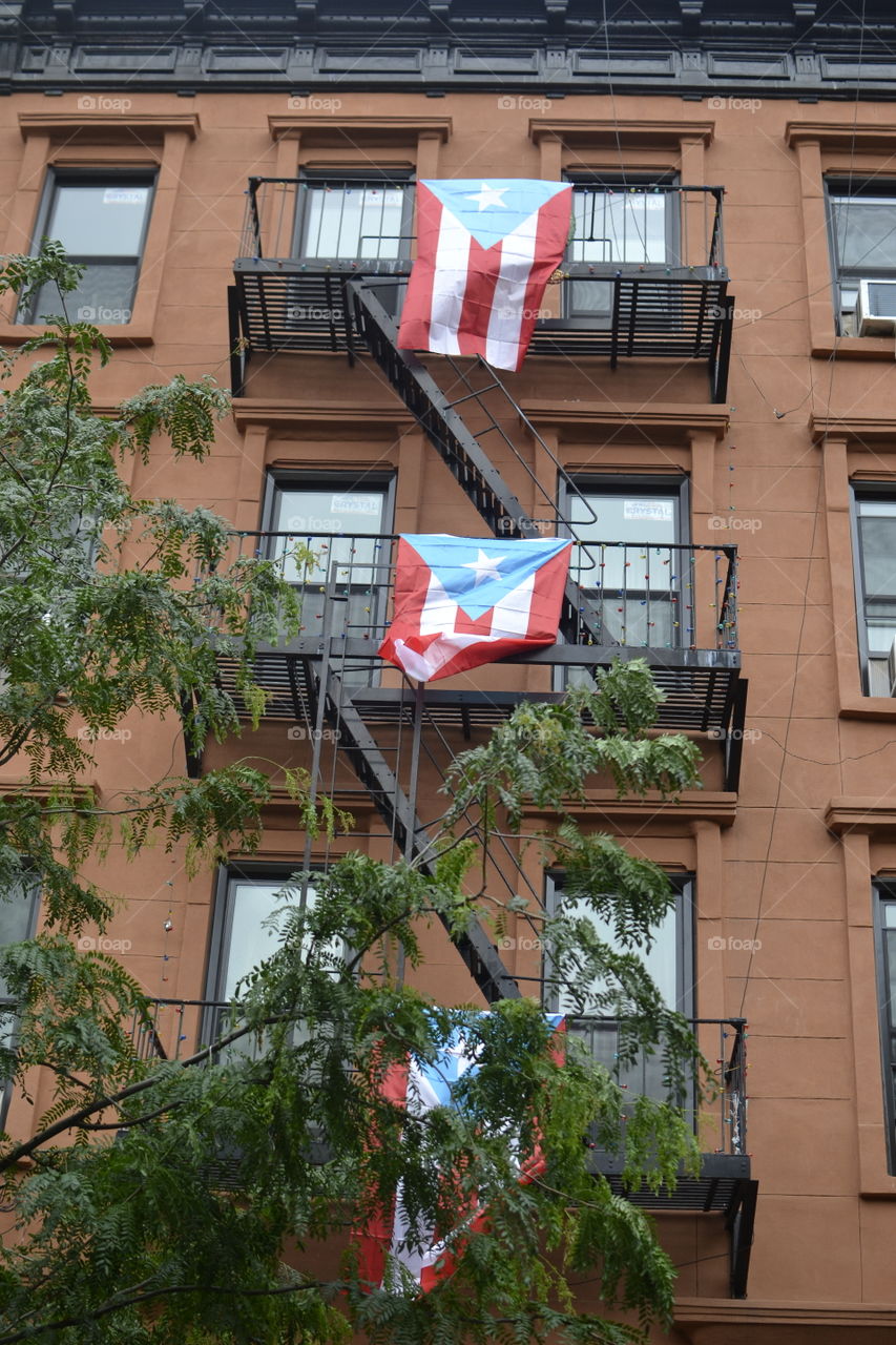 Puerto Rico, Harlem 