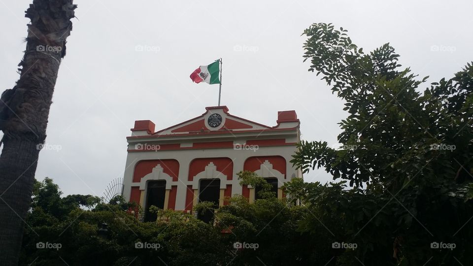 Mexican Flag Blowing In The Wind