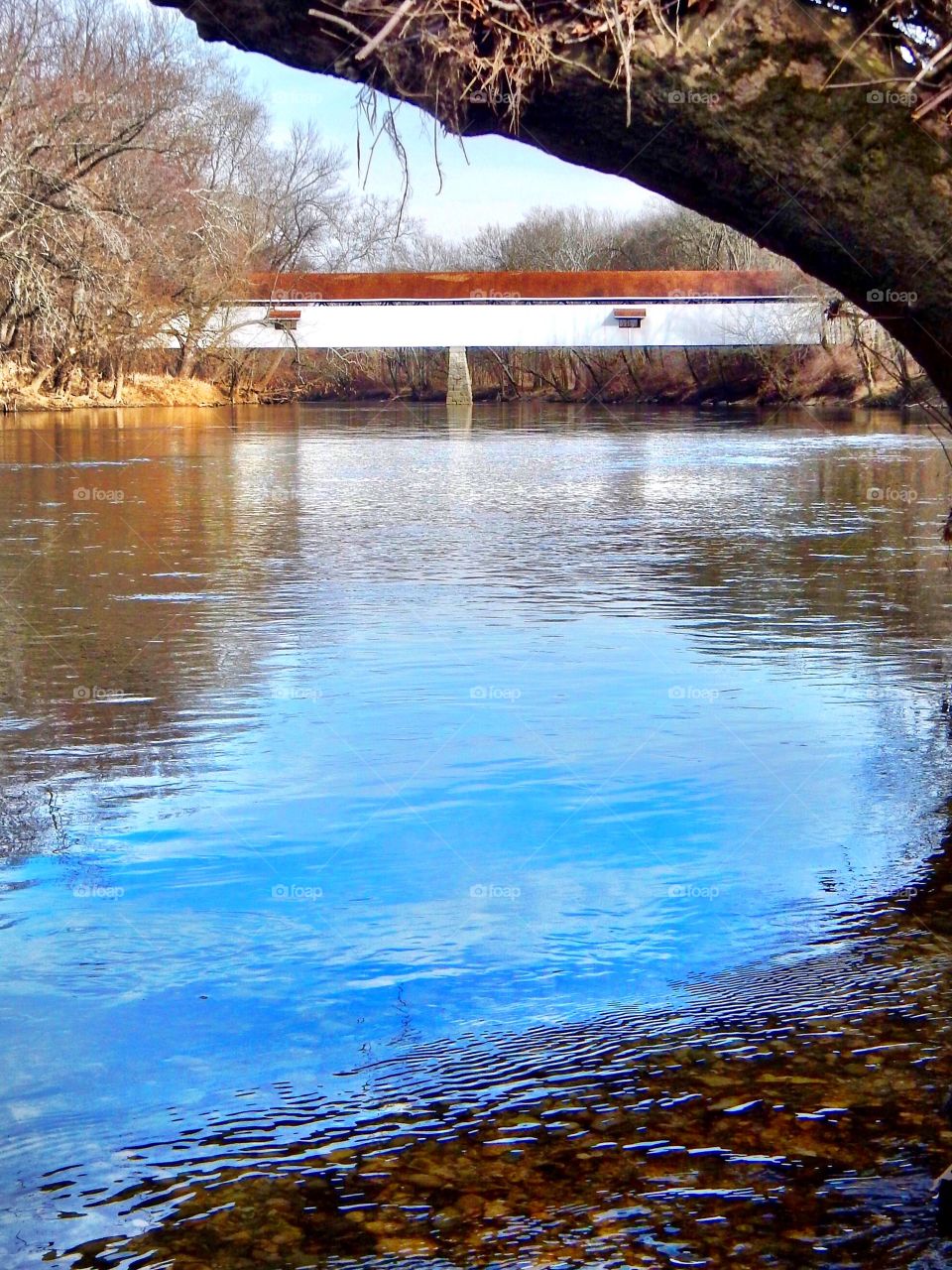 Covered bridge on the river