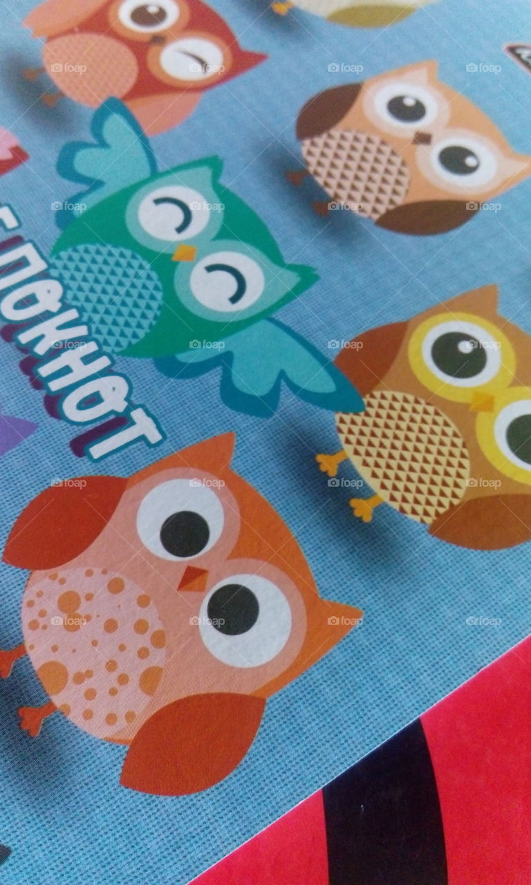print owls