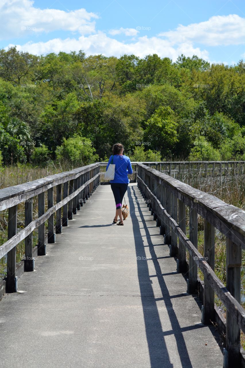 Female walking her tiny dog along board walk