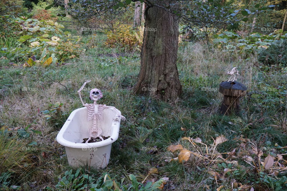 Skeleton having a bath at Halloween 
