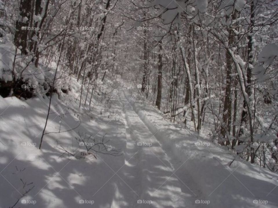 Winter trail