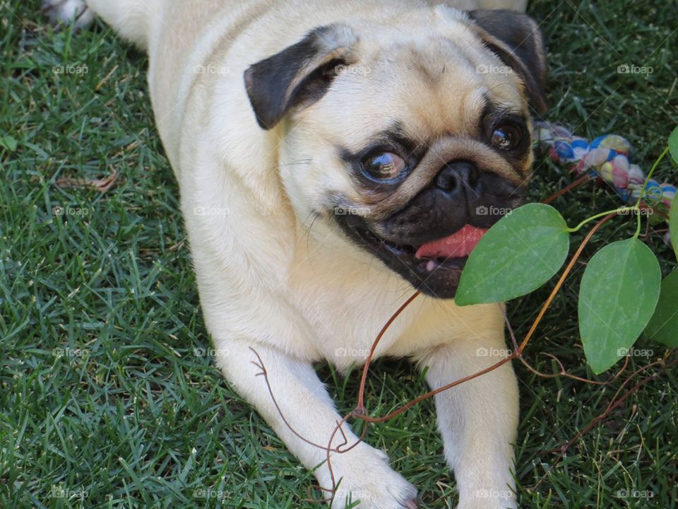 Penny with the twinkle in her eye