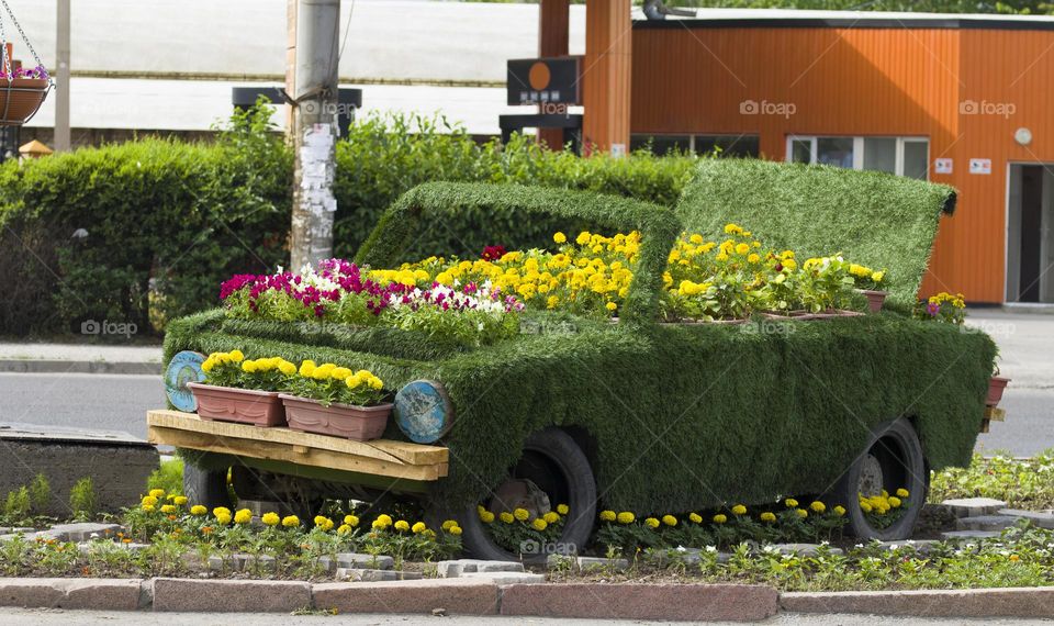 Old car used as flowerbed.