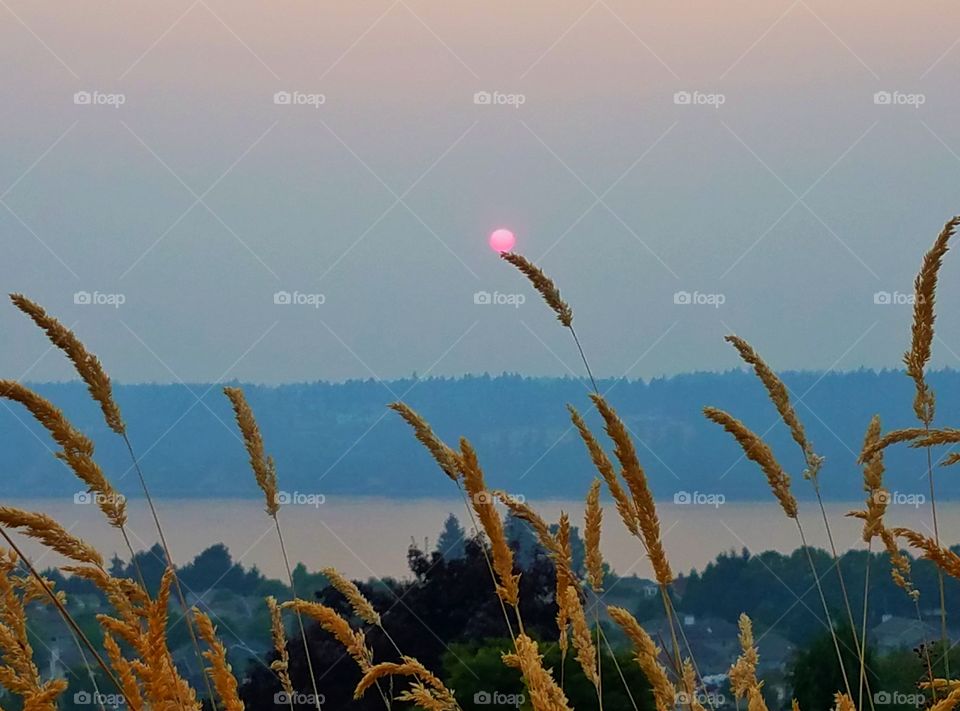 Capturing the red sun