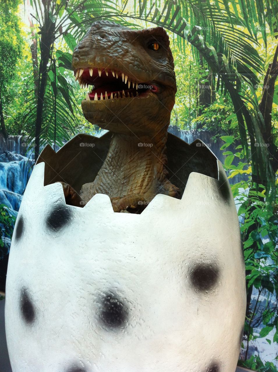 Dino - Portugal - Europe