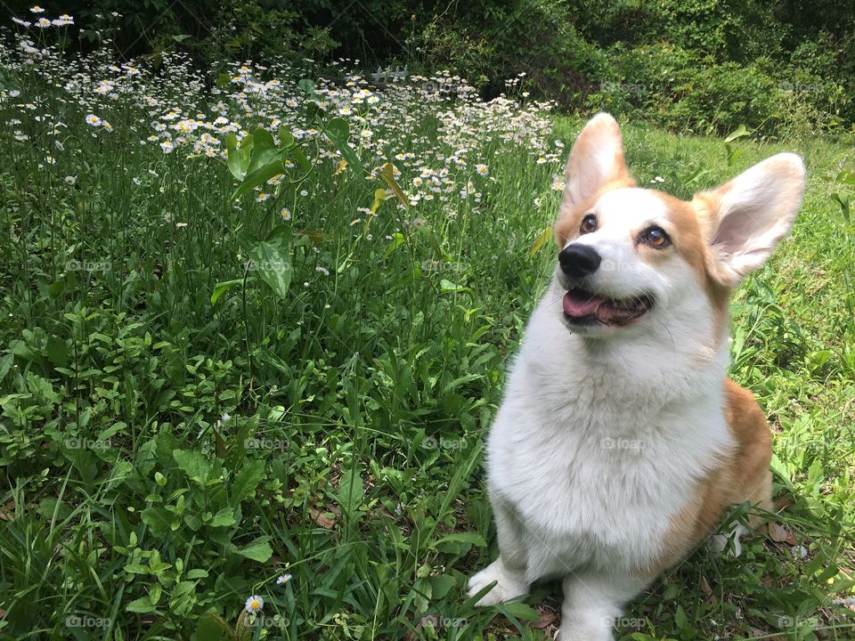 Stop and smell the flowers