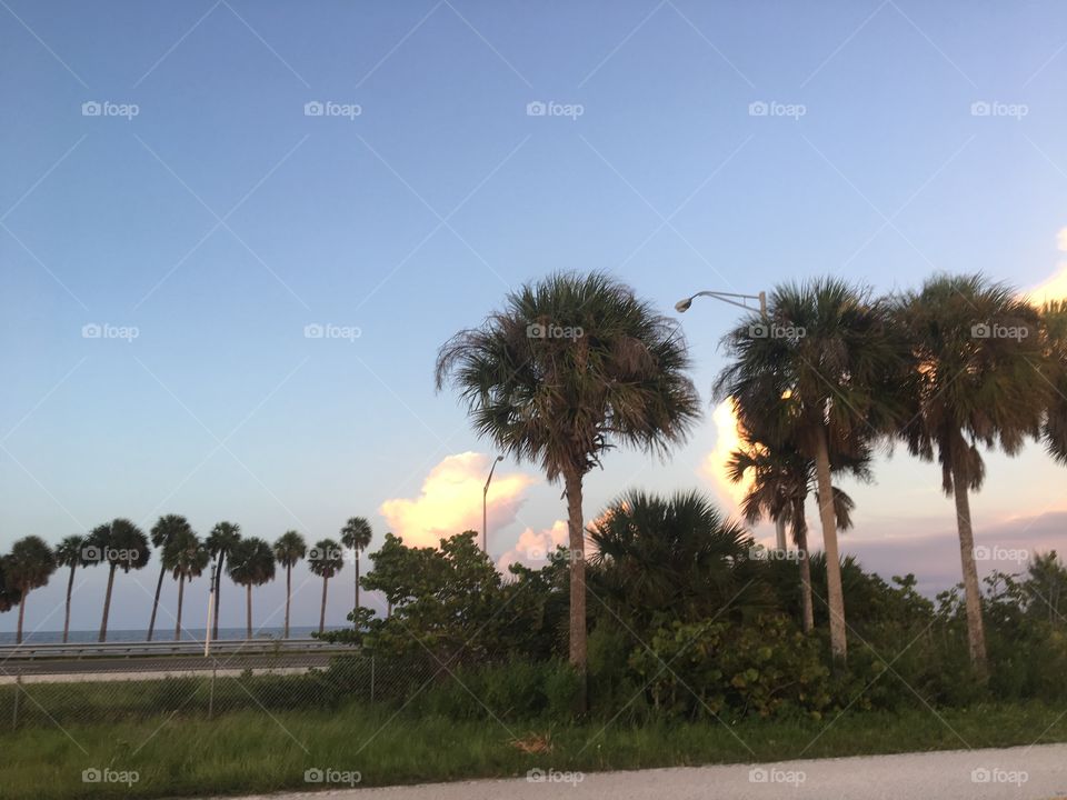 Tampa, sunset, sunshine skyway, bridge, fishing pier, tropical, road, evening, dusk, colorful, sky, gulf coast, Florida, Tampa Florida 