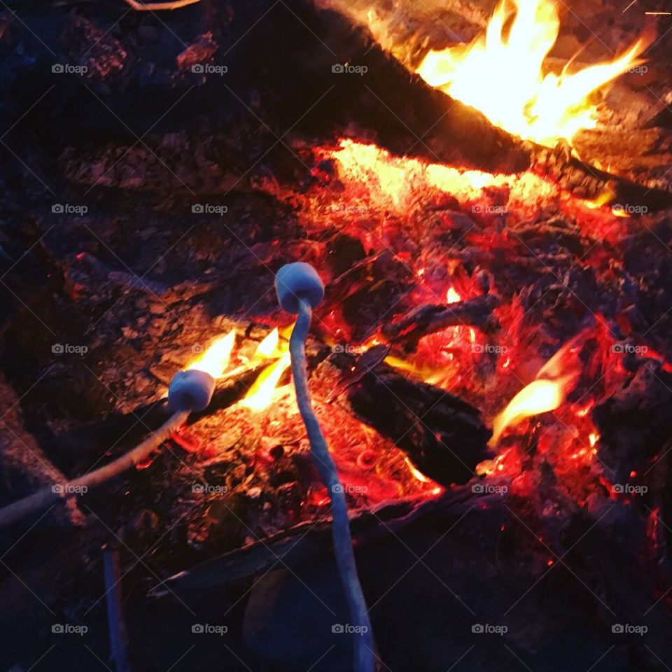 Roasting marshmallows on sticks over a cozy campfire. 