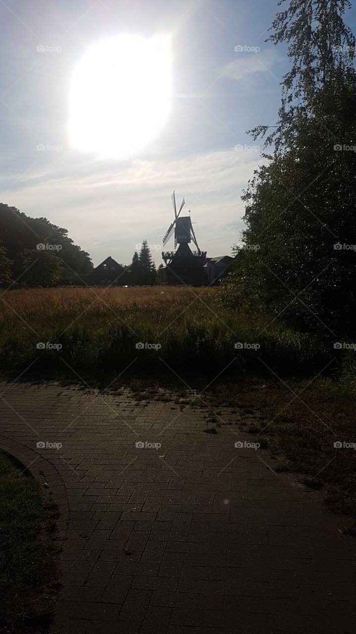 windmill in the sun